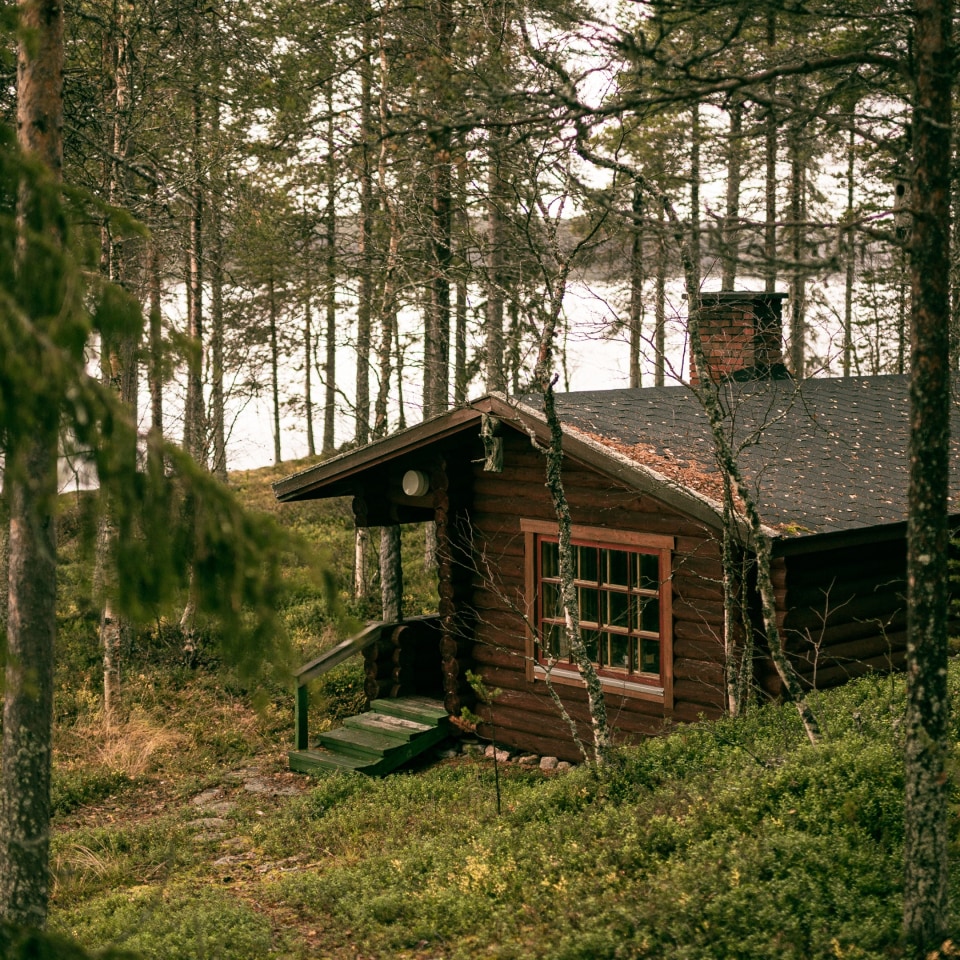 Wildnishütte im Wald